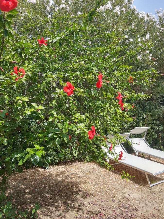 -Exclusive Private Villa- Villasimius Eksteriør bilde