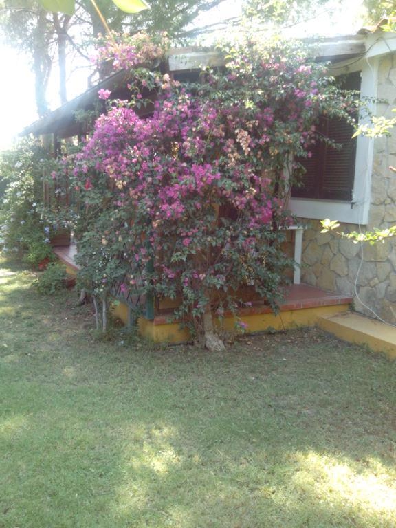 -Exclusive Private Villa- Villasimius Eksteriør bilde